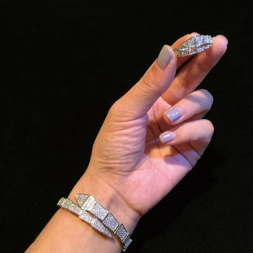 Charming Snake Bracelet And Ring Set - Silver